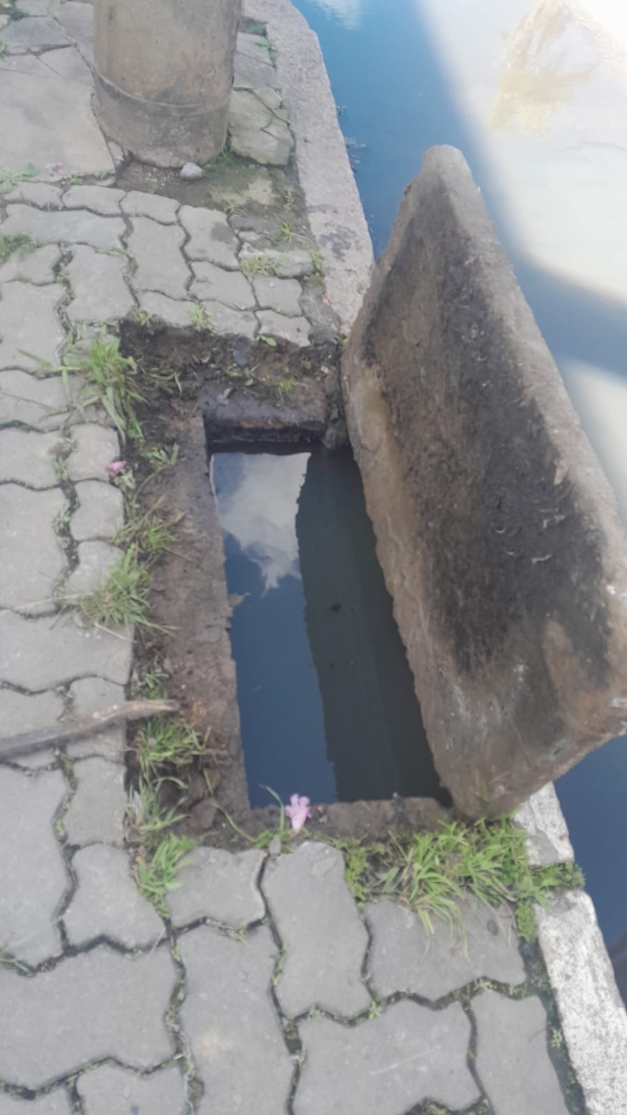 desentupidora centro